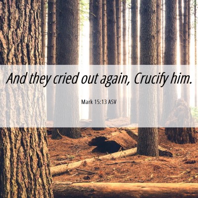 Picture 06 - Mark 15:13 ASV - And they cried out again, Crucify - Bible Verse Picture