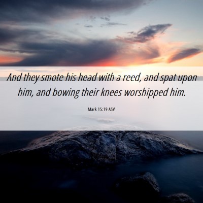 Picture 06 - Mark 15:19 ASV - And they smote his head with a reed, and spat - Bible Verse Picture