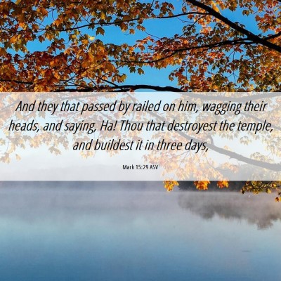 Picture 06 - Mark 15:29 ASV - And they that passed by railed on him, wagging - Bible Verse Picture