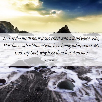 Picture 06 - Mark 15:34 ASV - And at the ninth hour Jesus cried with a loud - Bible Verse Picture
