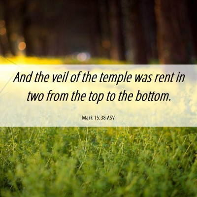 Picture 06 - Mark 15:38 ASV - And the veil of the temple was rent in two from - Bible Verse Picture