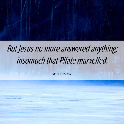 Picture 06 - Mark 15:5 ASV - But Jesus no more answered anything; insomuch - Bible Verse Picture