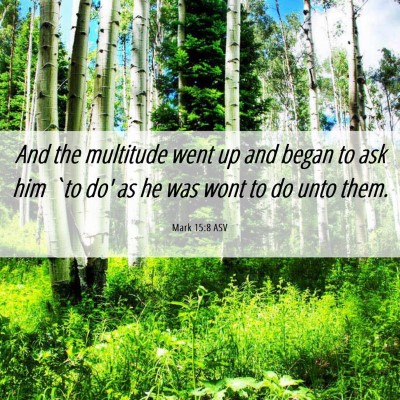 Picture 06 - Mark 15:8 ASV - And the multitude went up and began to ask him - Bible Verse Picture