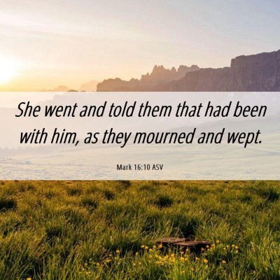 Picture 06 - Mark 16:10 ASV - She went and told them that had been with him, as - Bible Verse Picture