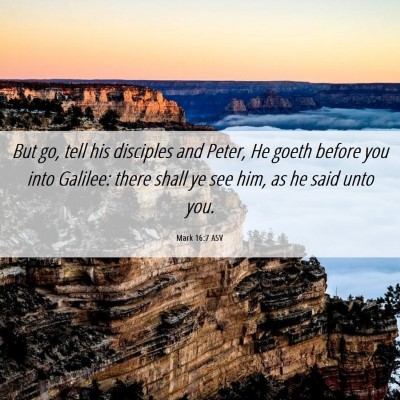 Picture 06 - Mark 16:7 ASV - But go, tell his disciples and Peter, He goeth - Bible Verse Picture