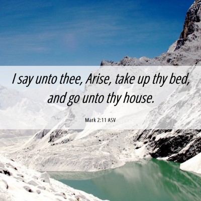 Picture 06 - Mark 2:11 ASV - I say unto thee, Arise, take up thy bed, and go - Bible Verse Picture