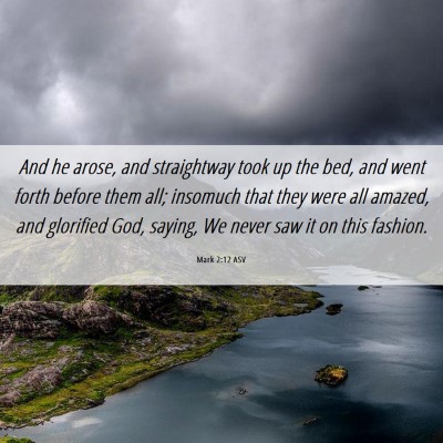 Picture 06 - Mark 2:12 ASV - And he arose, and straightway took up the bed, - Bible Verse Picture