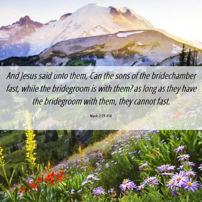 Picture 06 - Mark 2:19 ASV - And Jesus said unto them, Can the sons of the - Bible Verse Picture