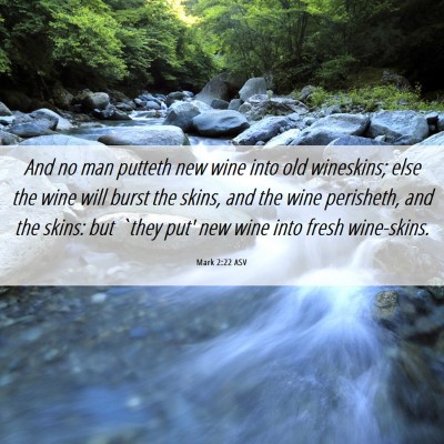 Picture 06 - Mark 2:22 ASV - And no man putteth new wine into old wineskins; - Bible Verse Picture
