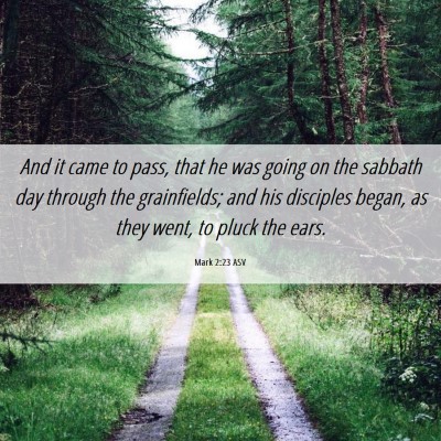 Picture 06 - Mark 2:23 ASV - And it came to pass, that he was going on the - Bible Verse Picture