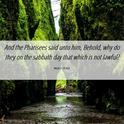 Picture 06 - Mark 2:24 ASV - And the Pharisees said unto him, Behold, why do - Bible Verse Picture