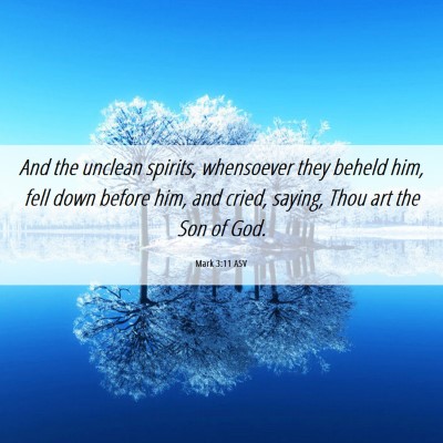 Picture 06 - Mark 3:11 ASV - And the unclean spirits, whensoever they beheld - Bible Verse Picture