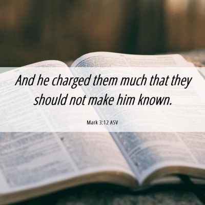 Picture 06 - Mark 3:12 ASV - And he charged them much that they should not - Bible Verse Picture