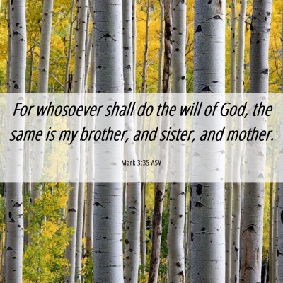 Picture 06 - Mark 3:35 ASV - For whosoever shall do the will of God, the same - Bible Verse Picture