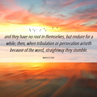 Picture 06 - Mark 4:17 ASV - and they have no root in themselves, but endure - Bible Verse Picture