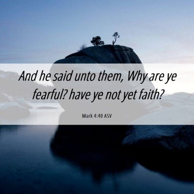 Picture 06 - Mark 4:40 ASV - And he said unto them, Why are ye fearful? have - Bible Verse Picture