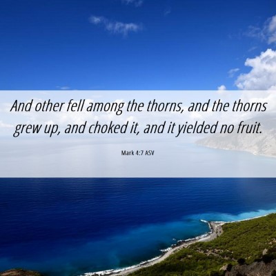 Picture 06 - Mark 4:7 ASV - And other fell among the thorns, and the thorns - Bible Verse Picture