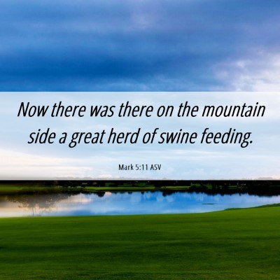 Picture 06 - Mark 5:11 ASV - Now there was there on the mountain side a great - Bible Verse Picture