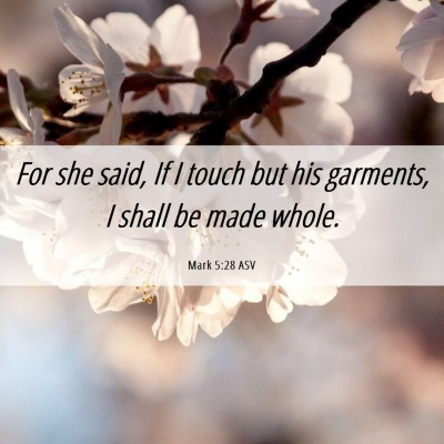 Picture 06 - Mark 5:28 ASV - For she said, If I touch but his garments, I - Bible Verse Picture