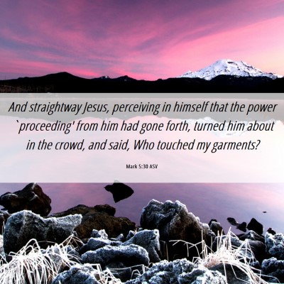 Picture 06 - Mark 5:30 ASV - And straightway Jesus, perceiving in himself that - Bible Verse Picture