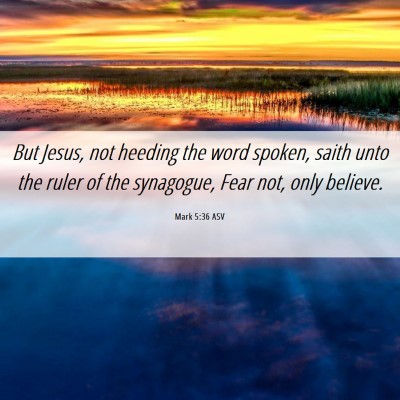 Picture 06 - Mark 5:36 ASV - But Jesus, not heeding the word spoken, saith - Bible Verse Picture