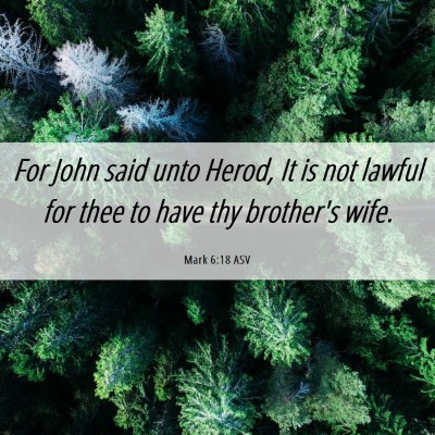 Picture 06 - Mark 6:18 ASV - For John said unto Herod, It is not lawful for - Bible Verse Picture