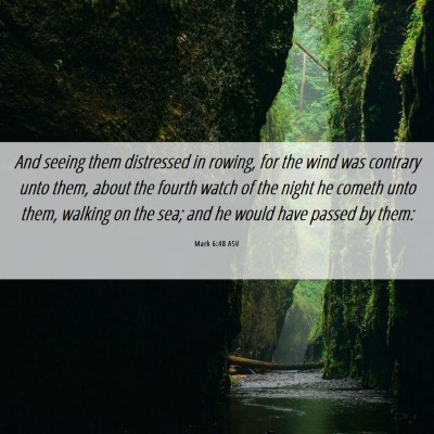 Picture 06 - Mark 6:48 ASV - And seeing them distressed in rowing, for the - Bible Verse Picture