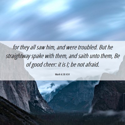 Picture 06 - Mark 6:50 ASV - for they all saw him, and were troubled. But he - Bible Verse Picture