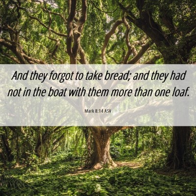 Picture 06 - Mark 8:14 ASV - And they forgot to take bread; and they had not - Bible Verse Picture
