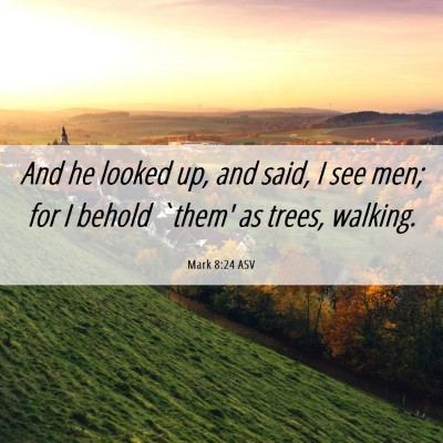 Picture 06 - Mark 8:24 ASV - And he looked up, and said, I see men; for I - Bible Verse Picture