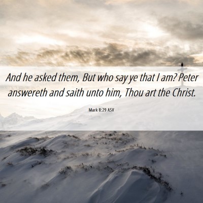 Picture 06 - Mark 8:29 ASV - And he asked them, But who say ye that I am? - Bible Verse Picture