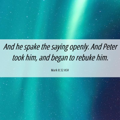 Picture 06 - Mark 8:32 ASV - And he spake the saying openly. And Peter took - Bible Verse Picture