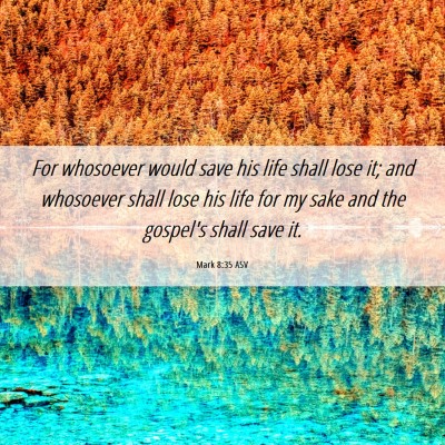 Picture 06 - Mark 8:35 ASV - For whosoever would save his life shall lose it; - Bible Verse Picture