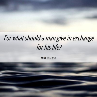 Picture 06 - Mark 8:37 ASV - For what should a man give in exchange for his - Bible Verse Picture
