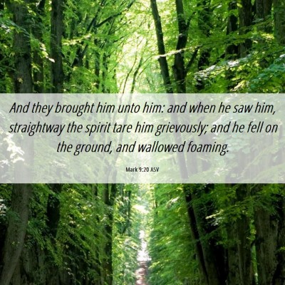 Picture 06 - Mark 9:20 ASV - And they brought him unto him: and when he saw - Bible Verse Picture