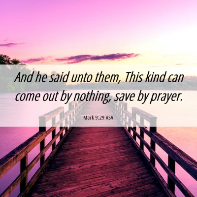 Picture 06 - Mark 9:29 ASV - And he said unto them, This kind can come out by - Bible Verse Picture