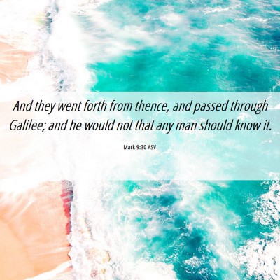 Picture 06 - Mark 9:30 ASV - And they went forth from thence, and passed - Bible Verse Picture
