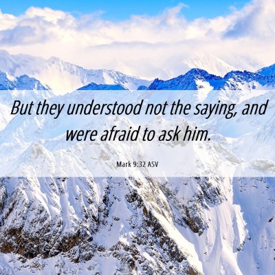 Picture 06 - Mark 9:32 ASV - But they understood not the saying, and were - Bible Verse Picture