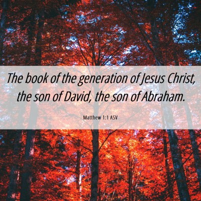 Picture 06 - Matthew 1:1 ASV - The book of the generation of Jesus Christ, the - Bible Verse Picture