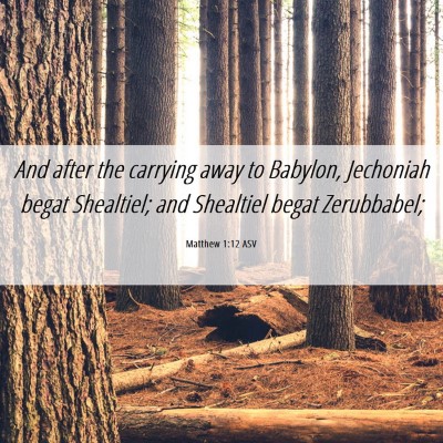 Picture 06 - Matthew 1:12 ASV - And after the carrying away to Babylon, Jechoniah - Bible Verse Picture