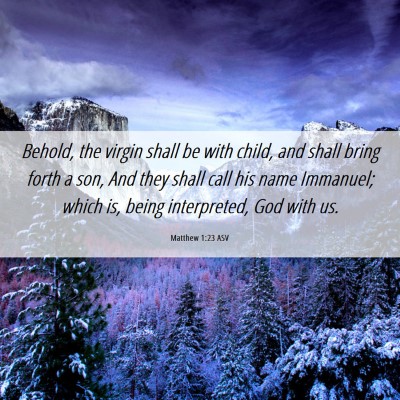 Picture 06 - Matthew 1:23 ASV - Behold, the virgin shall be with child, and shall - Bible Verse Picture