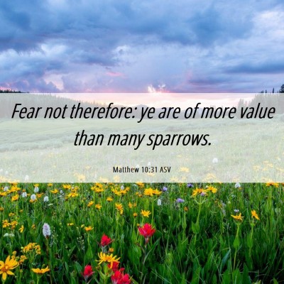 Picture 06 - Matthew 10:31 ASV - Fear not therefore: ye are of more value than - Bible Verse Picture