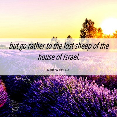 Picture 06 - Matthew 10:6 ASV - but go rather to the lost sheep of the house of - Bible Verse Picture