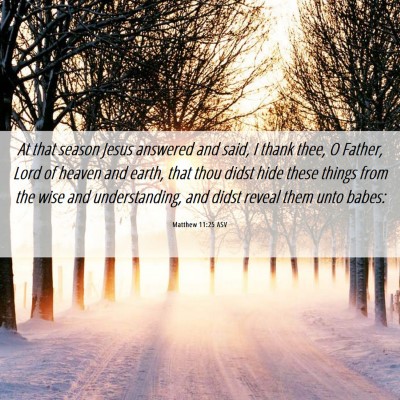 Picture 06 - Matthew 11:25 ASV - At that season Jesus answered and said, I thank - Bible Verse Picture