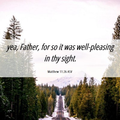 Picture 06 - Matthew 11:26 ASV - yea, Father, for so it was well-pleasing in thy - Bible Verse Picture