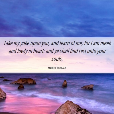 Picture 06 - Matthew 11:29 ASV - Take my yoke upon you, and learn of me; for I am - Bible Verse Picture