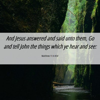 Picture 06 - Matthew 11:4 ASV - And Jesus answered and said unto them, Go and - Bible Verse Picture