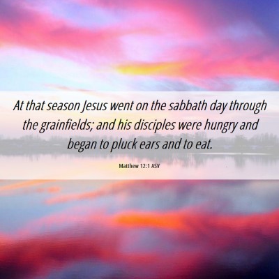 Picture 06 - Matthew 12:1 ASV - At that season Jesus went on the sabbath day - Bible Verse Picture