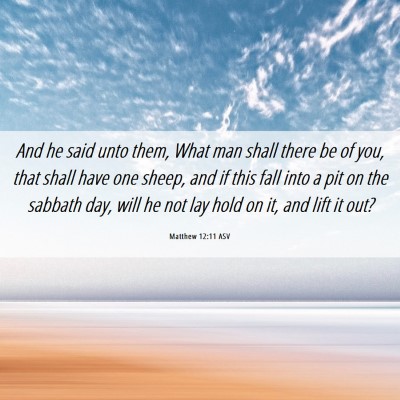 Picture 06 - Matthew 12:11 ASV - And he said unto them, What man shall there be of - Bible Verse Picture
