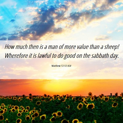 Picture 06 - Matthew 12:12 ASV - How much then is a man of more value than a - Bible Verse Picture